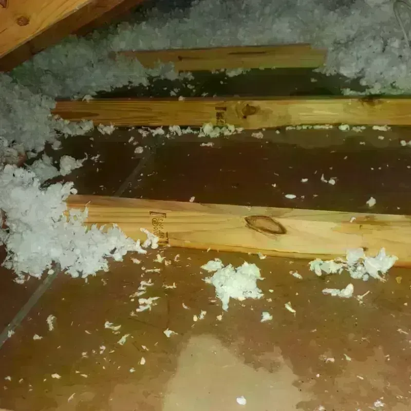 Attic Water Damage in Kinder, LA